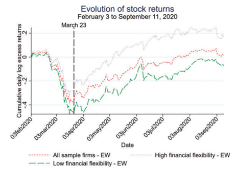 Returns over time for firms of varying flexibility