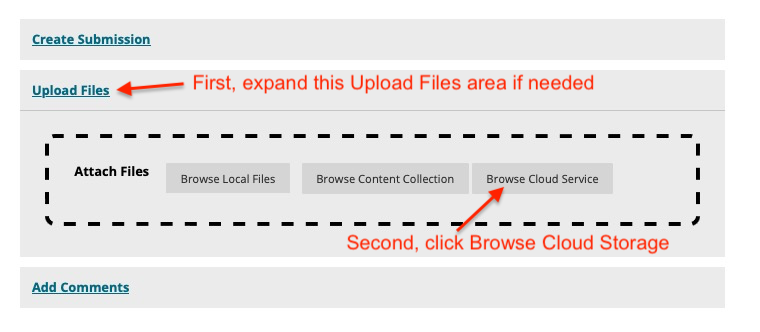 Screenshot showing expanded Upload Files area for a Blackboard assignment