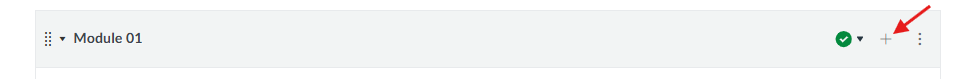 The plus icon is located on the far right, on the same line as the module title. It is in between the publish icon and the three-dots icon.
