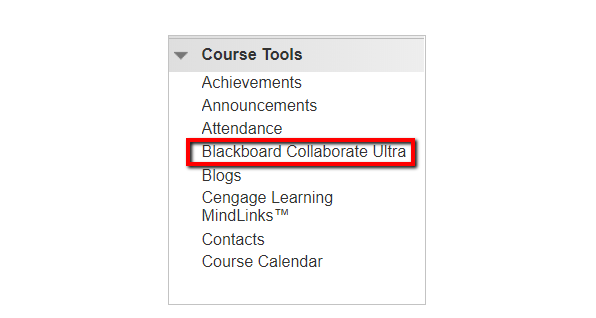 Screen capture of the Course Tools menu 