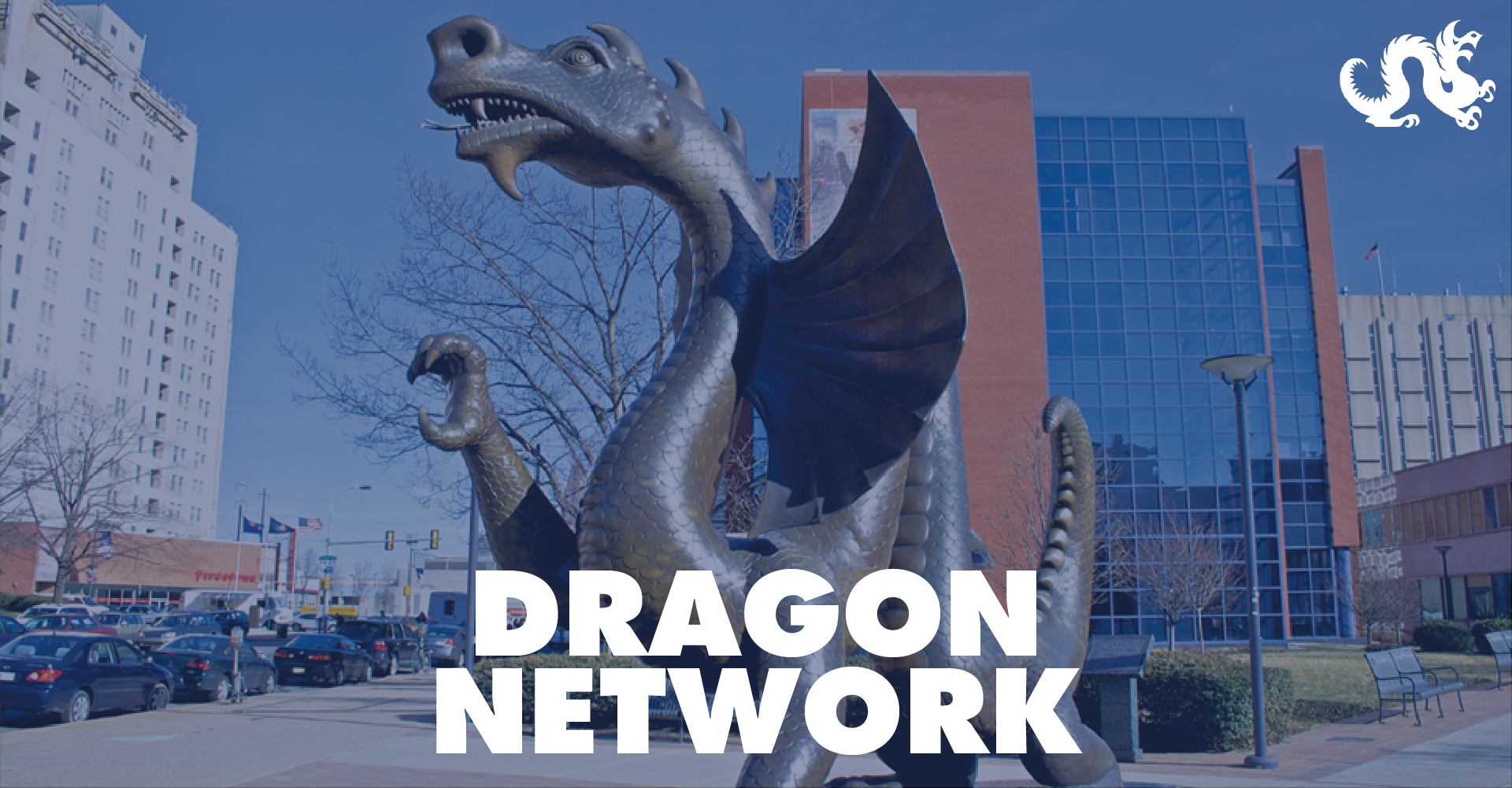 Dragon Network