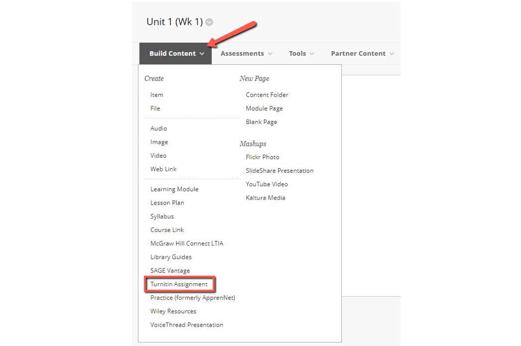 "Build Content" menu with Turnitin Assignment option highlighted