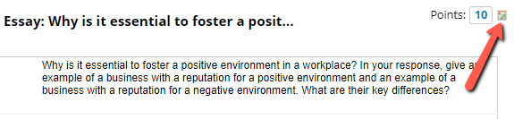 Rubric icon within an essay-style test question Rubric icon within an essay-style test question