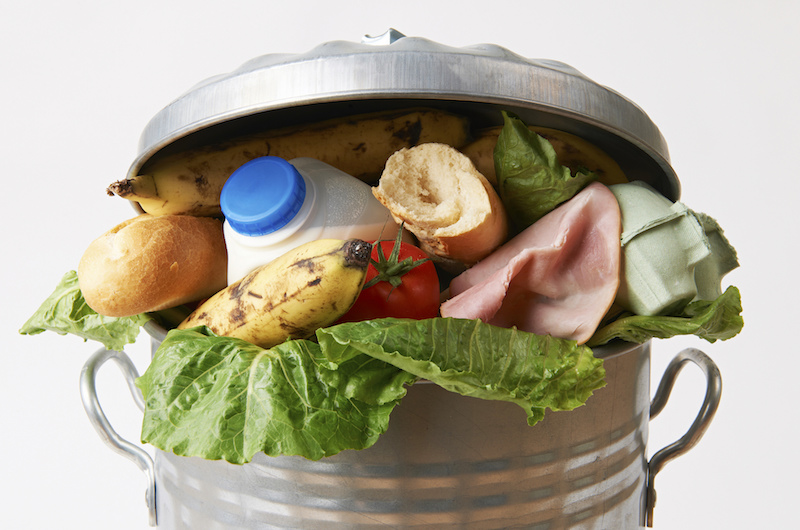 Food from the Trash Food from the Trash
