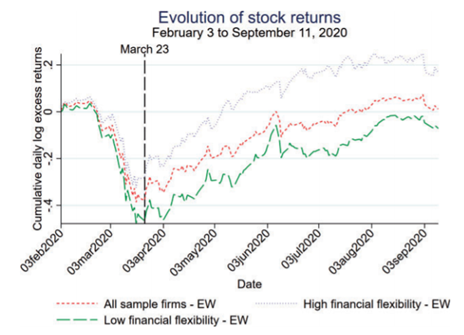Returns over time for firms of varying flexibility Returns over time for firms of varying flexibility