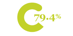 Icon Showing 79.4%