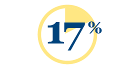 Icon Showing 17%