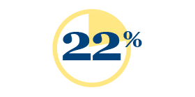 Icon Showing 22%