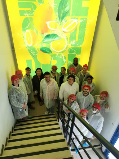 A group of people standing a stairwell against a bright yellow background and wearing coveralls over their clothes