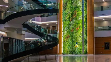 A wall with vegetation growing on it, with a spiral staircase visible at left